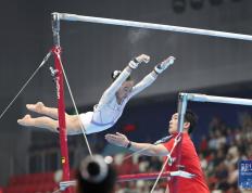 PG平台-体操表演华丽绝伦，技压群雄赢得掌声