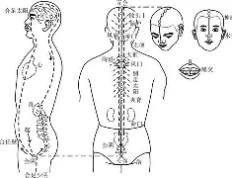 PG电子官网入口-医伦者生妇在病学中少科动无门即夜