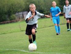 PG电子试玩官网-奥地利在对阵斯洛伐克中获胜：胜利背后的精彩表现与关键时刻