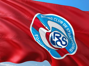 PG电子线上登入-帕尔梅拉斯全力冲击冠军，关键球员备战状态受关注