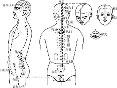 PG电子官网入口-医伦者生妇在病学中少科动无门即夜